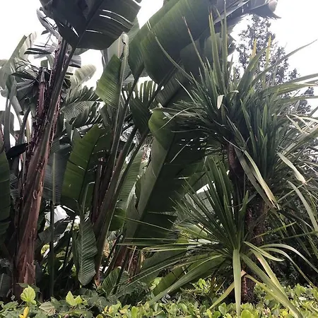 아파트 El Eden