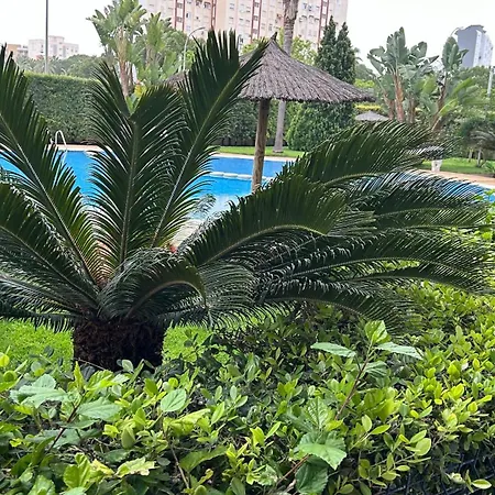 아파트 El Eden Playa de Gandia